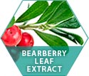 Bearberry Leaf used in Fusion Formula by Shunly Skin Care